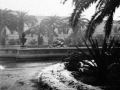 1949 nevicata a trapani (1)