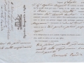1865 (1-7) - POLIZZA DI CARICO - BOVO NINETTA - CAP.CARMELO CANDIA